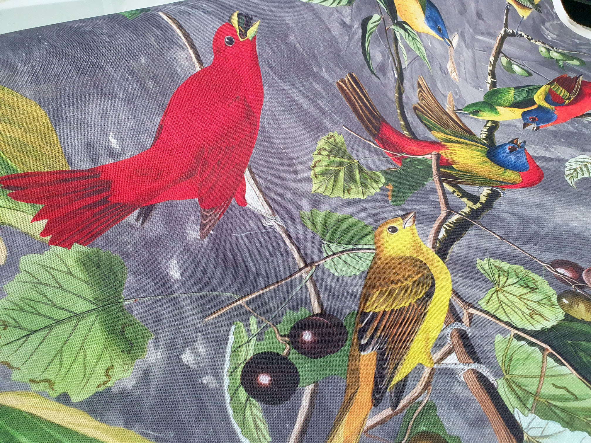 Birds and Berries Grey - Image 2