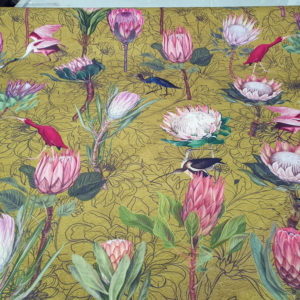 Protea Bird Garden Mustard