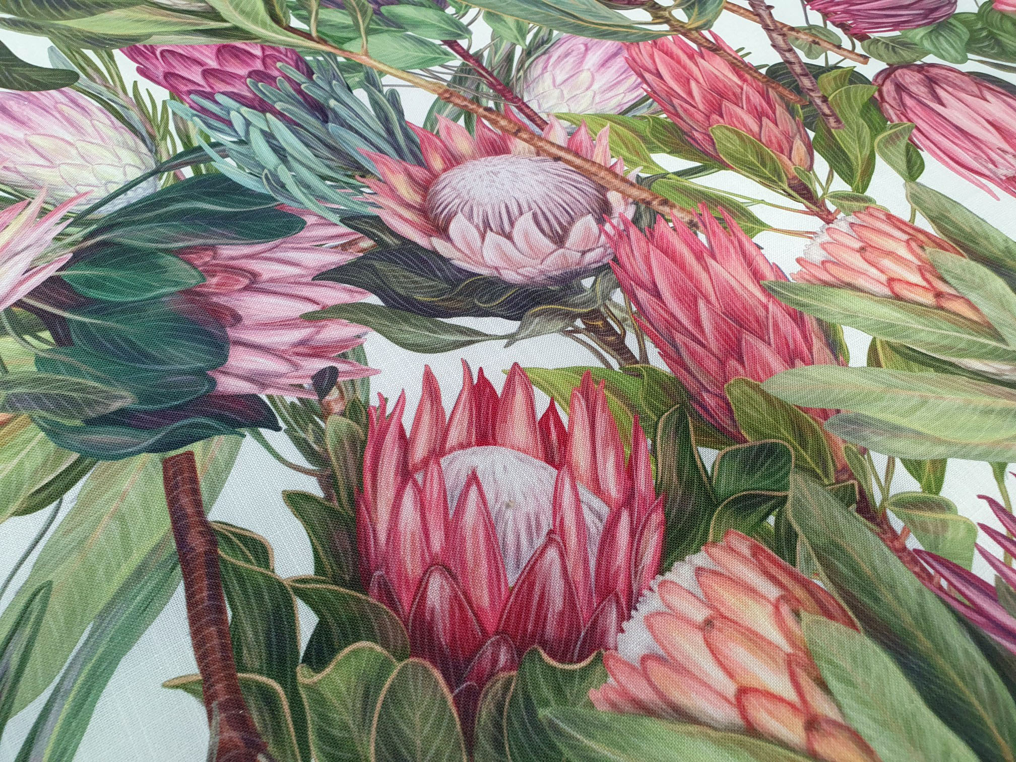 Protea Galore White - Image 3