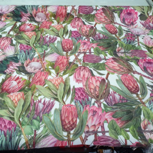 Protea Galore White