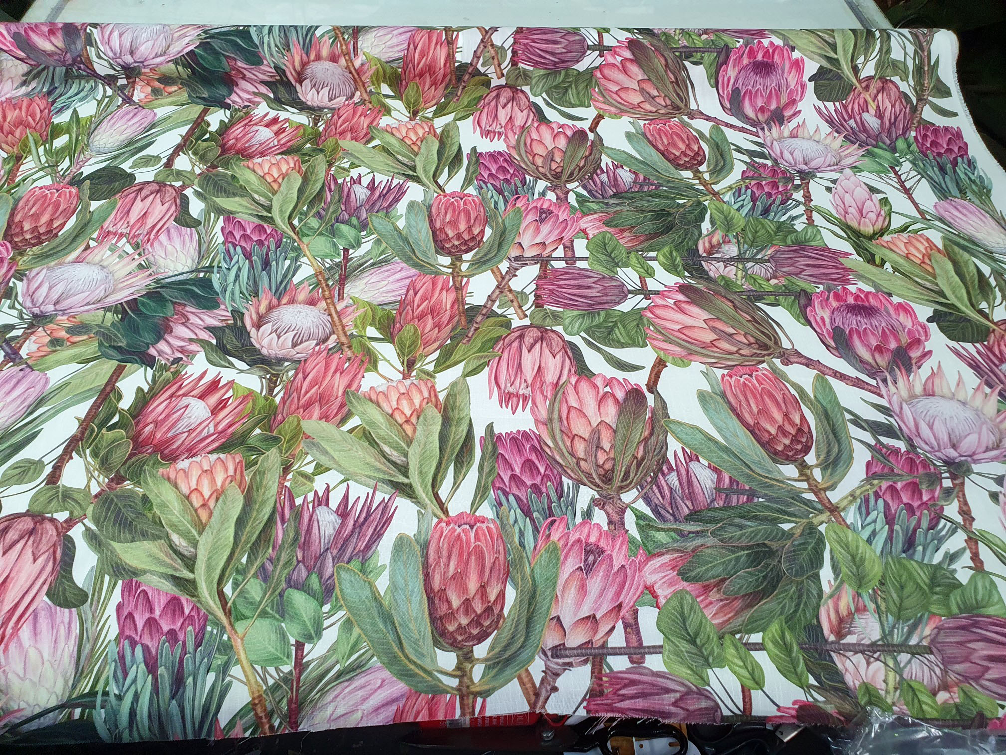 Protea Galore White