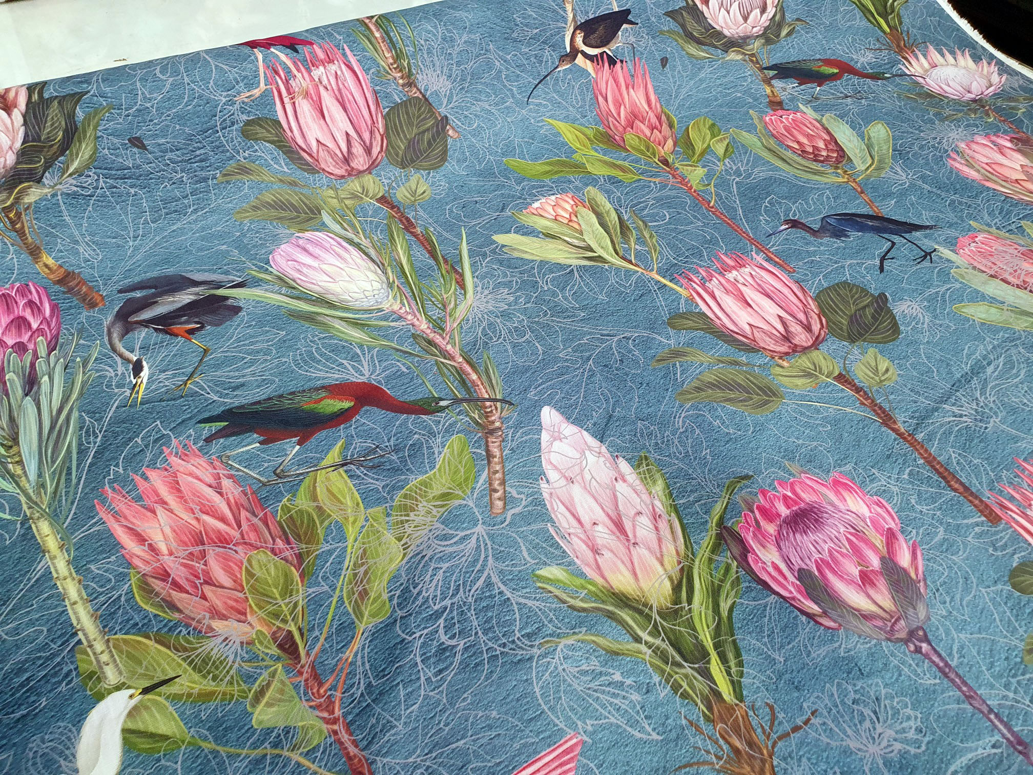 Protea Bird Garden Blue - Image 3