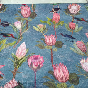 Protea Bird Garden Blue