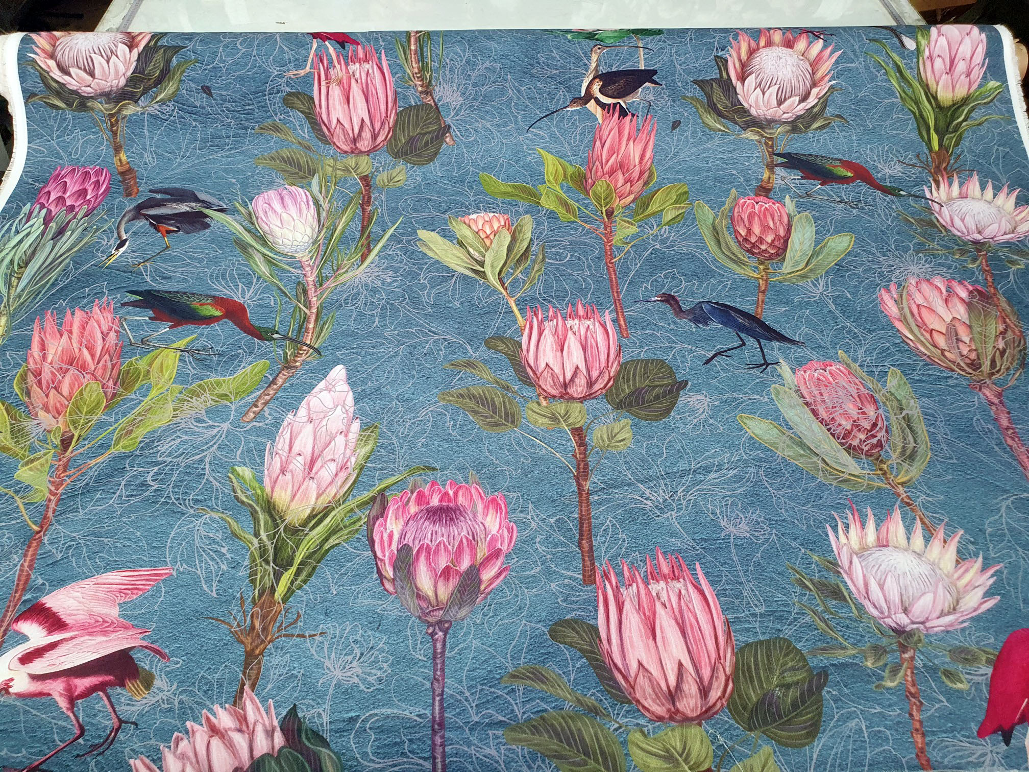 Protea Bird Garden Blue