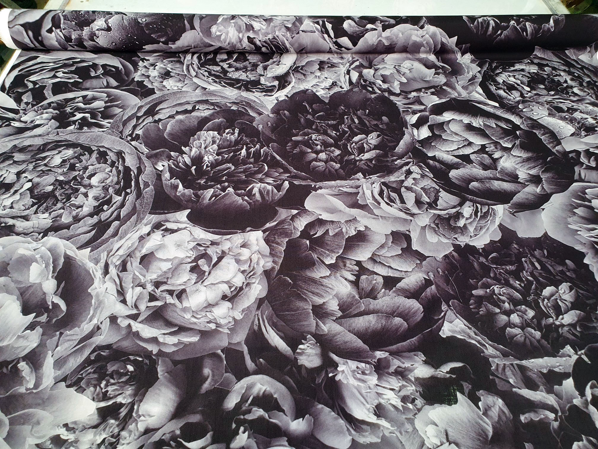 Black and White Peonies - Image 2