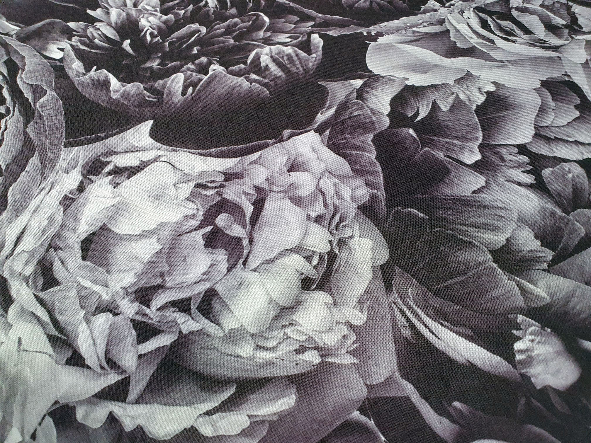 Black and White Peonies