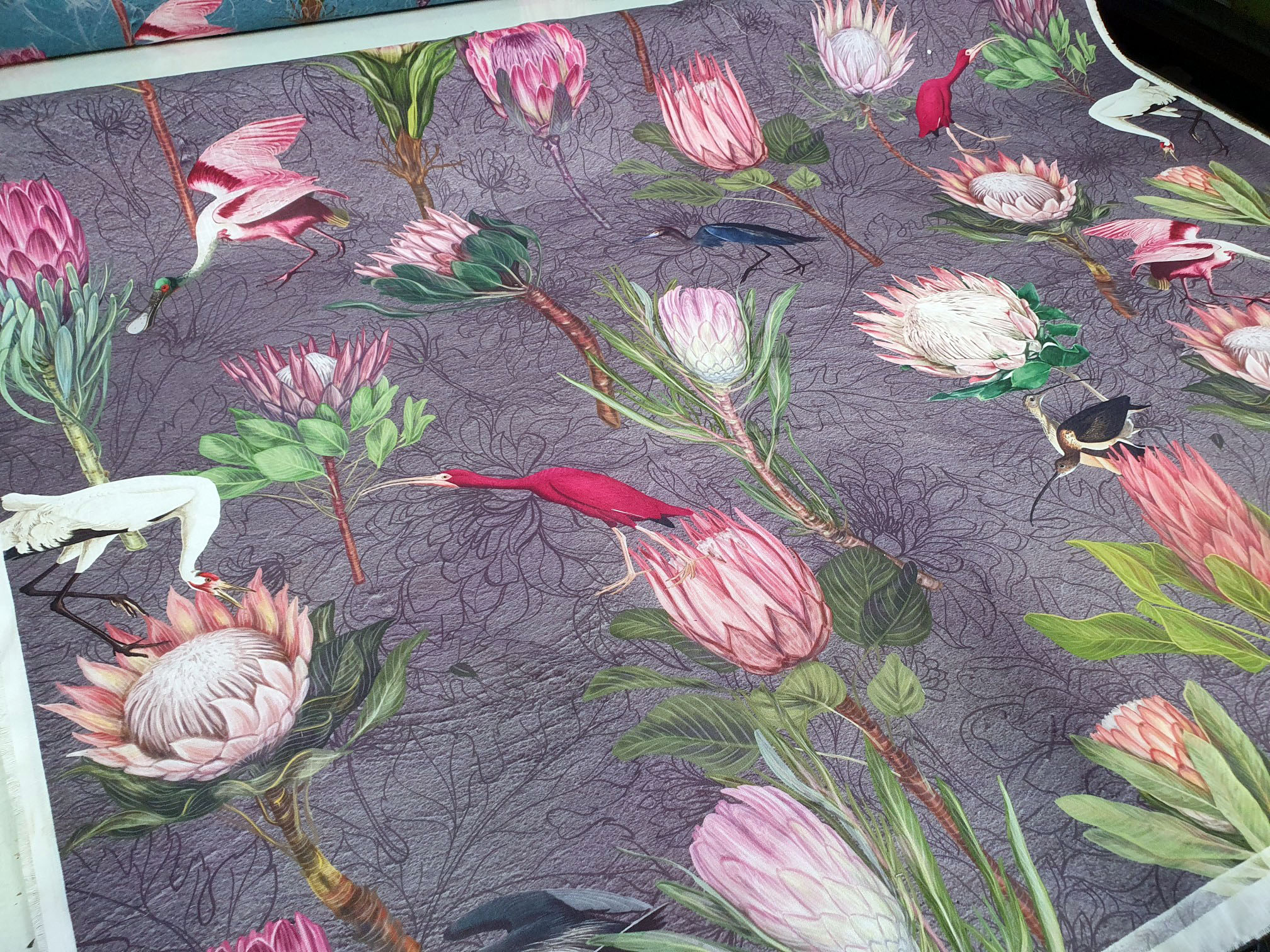Protea Bird Garden Grey - Image 3