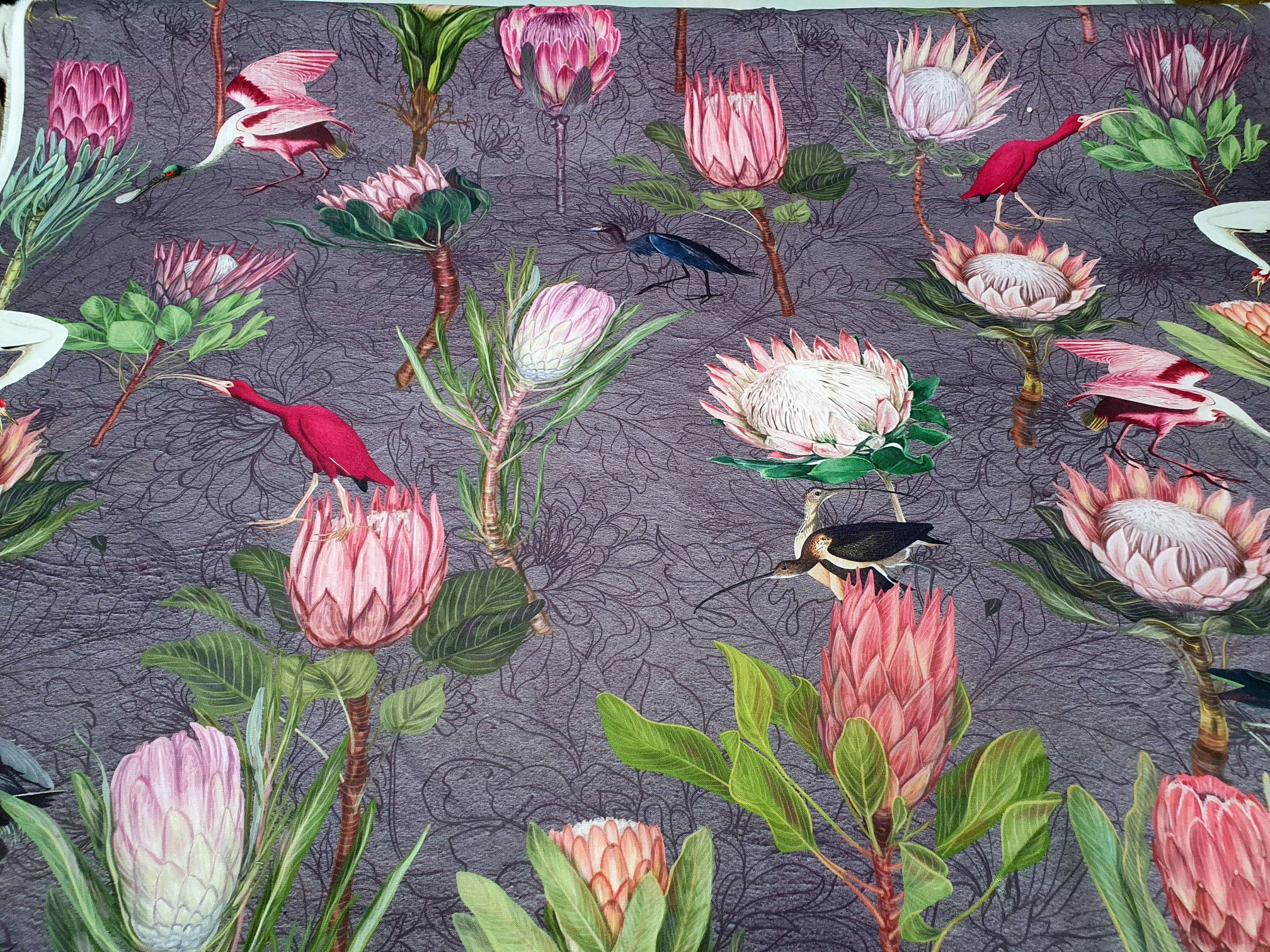 Protea Bird Garden Grey - Image 2