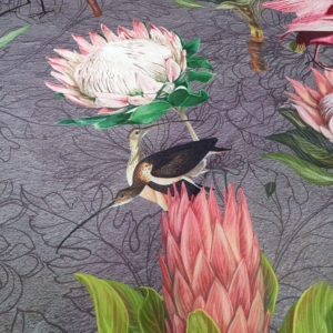 Protea Bird Garden Grey