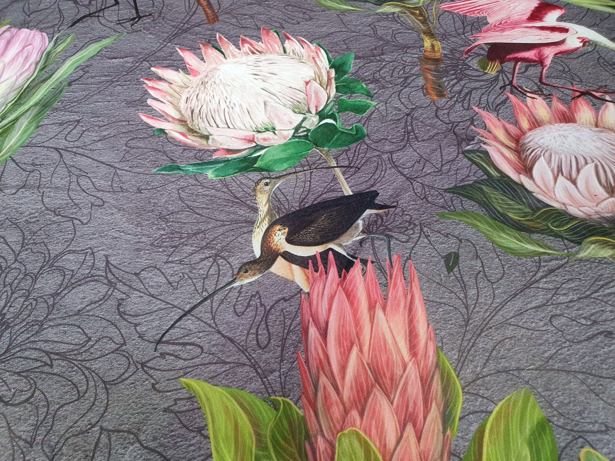 Protea Bird Garden Grey