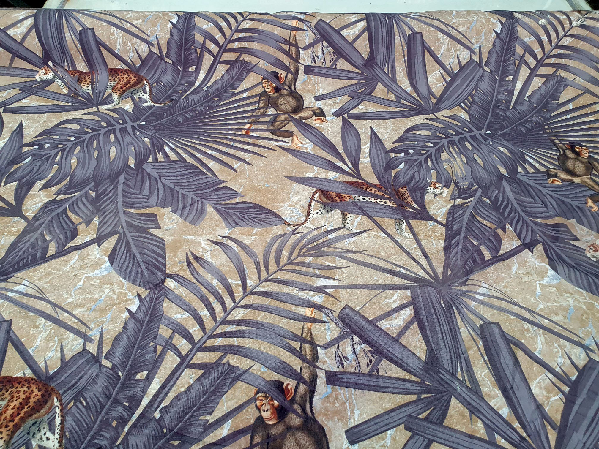 Monkey Tiger Gold - Image 3