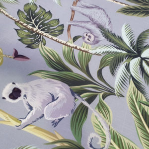 Monkey Lemur Grey