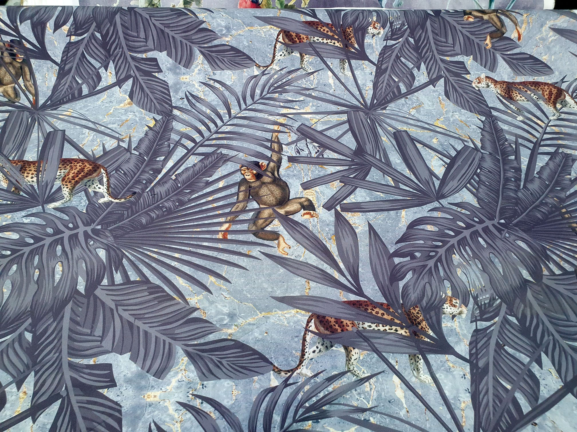 Monkey Tiger Grey - Image 2