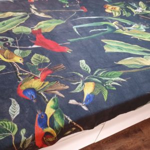 Jungle Birds Black
