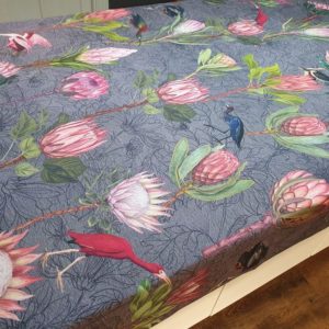 Protea Bird Garden Grey