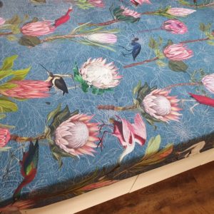 Protea Bird Garden Teal