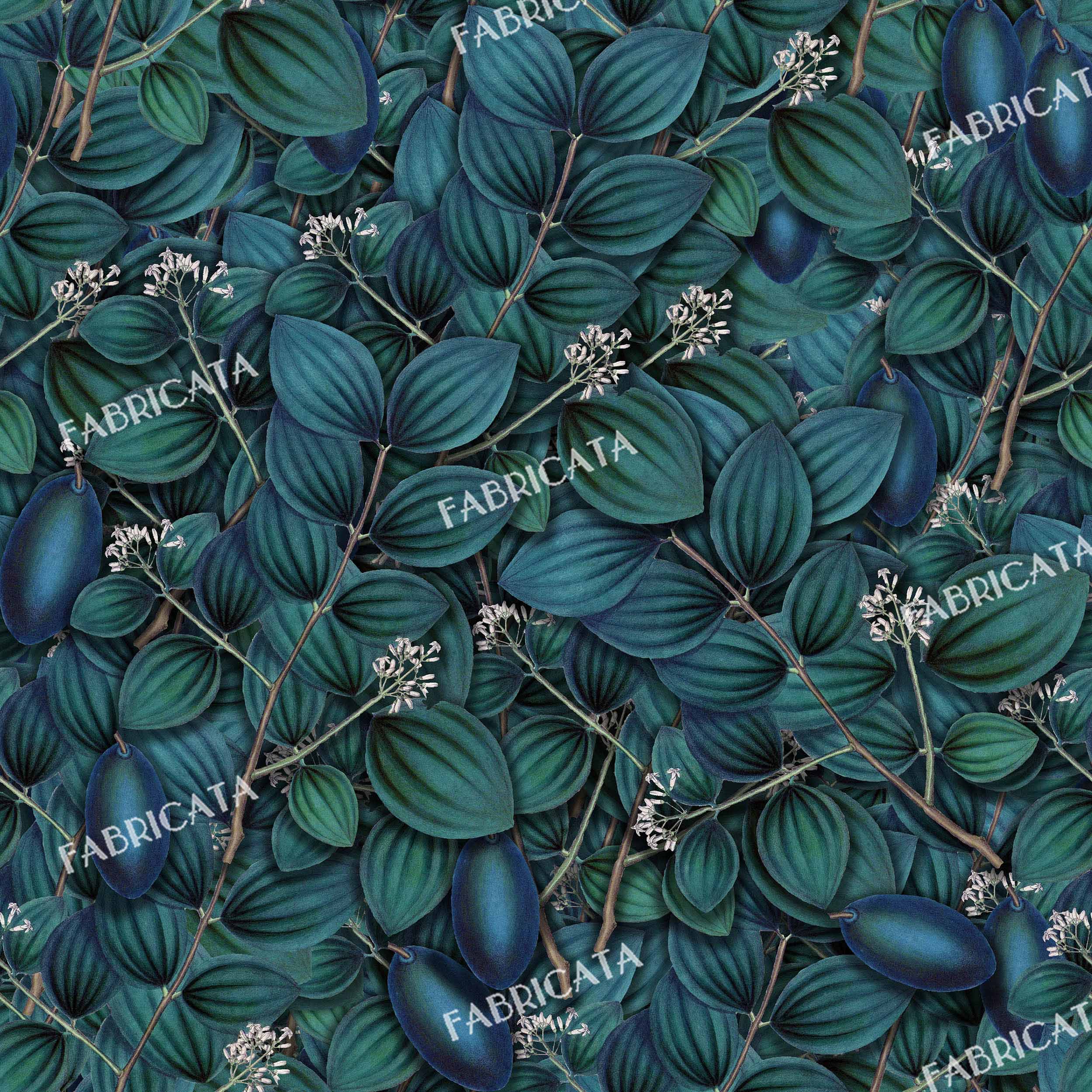 00137 - Image 2