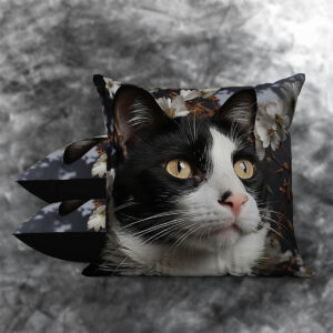 Black & White Cats