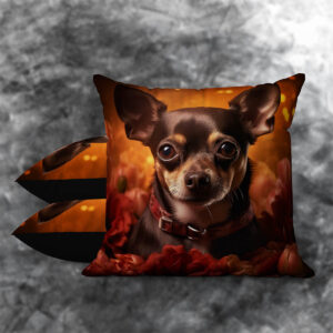 Chihuahua 2