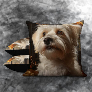 Havanese 7