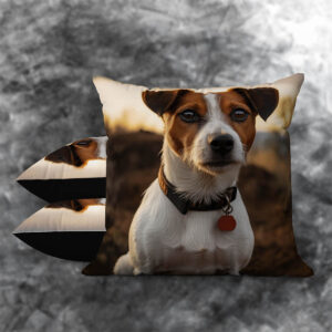 Jack Russell Terrier