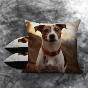 Jack Russell Terrier 2