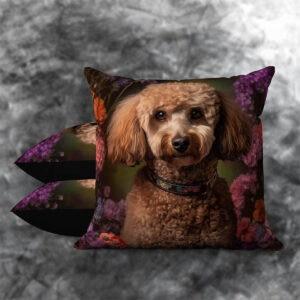Miniture Poodle