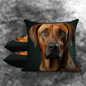 Rhodesian Ridgeback 2